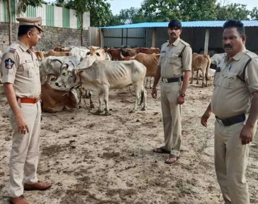 విజయనగరం జిల్లాలో పశువుల అక్రమ రవాణా...