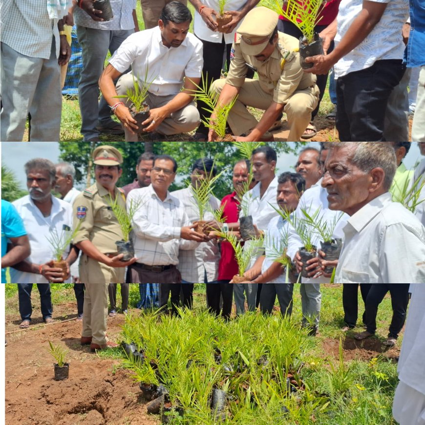 మొక్కలు నాటడం అంటే  దైవకార్యంతో సమానం