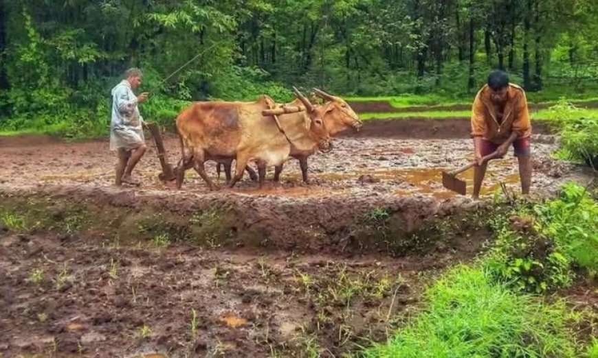 రైతులకు శుభవార్త.. అక్టోబర్‌ 5న పీఎం కిసాన్‌ నగదు జమ*