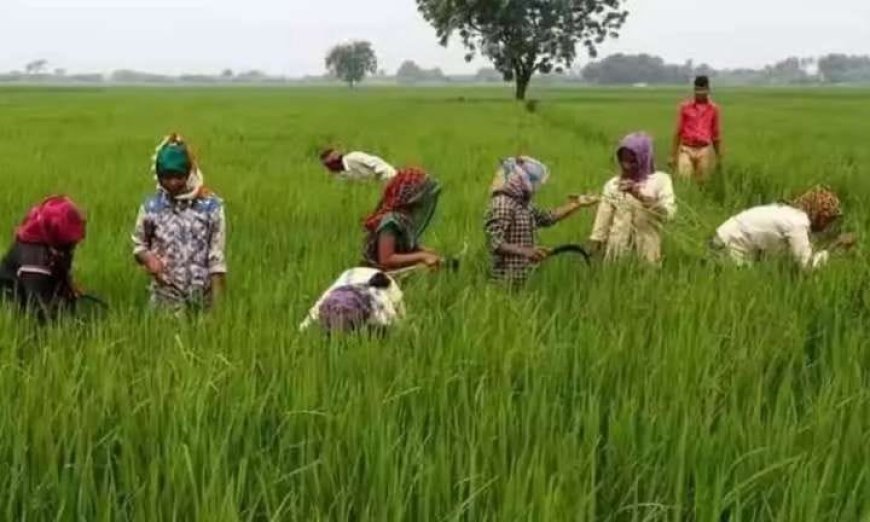 రైతుల ఖాతాల్లో రైతుభరోసా నిధుల జమకు డేట్‌ ఫిక్స్!