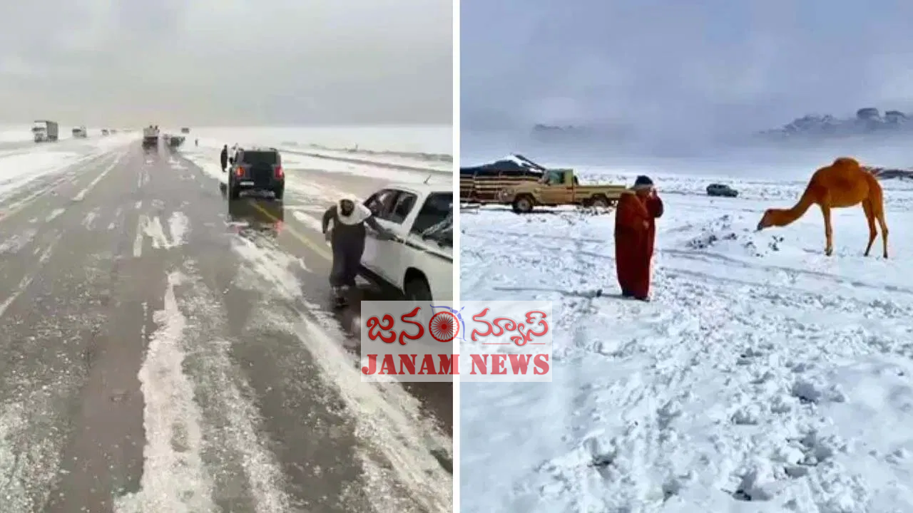 ఎడారిలో అరుదైన ప్రకృతి పరిణామం: ఇసుకపై తెల్లటి పొర