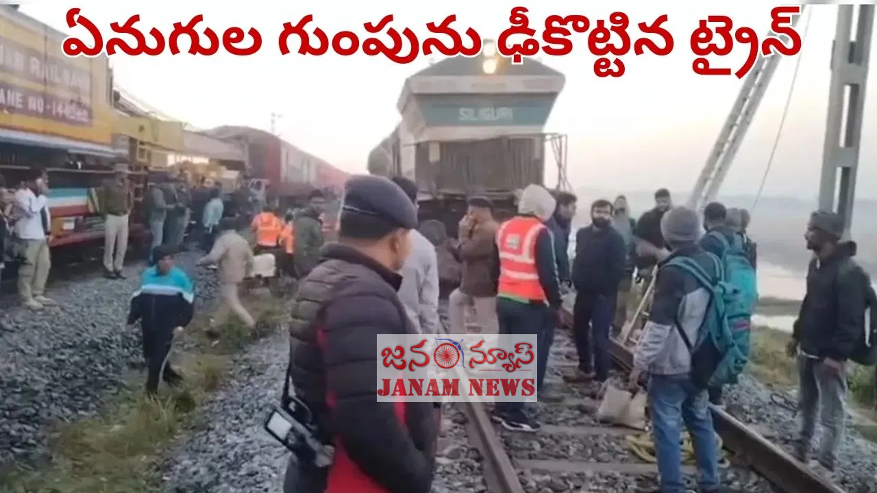 హృదయ విదారక ఘటన: అస్సాంలో ఏనుగుల గుంపును ఢీకొన్న రాజధాని ఎక్స్‌ప్రెస్