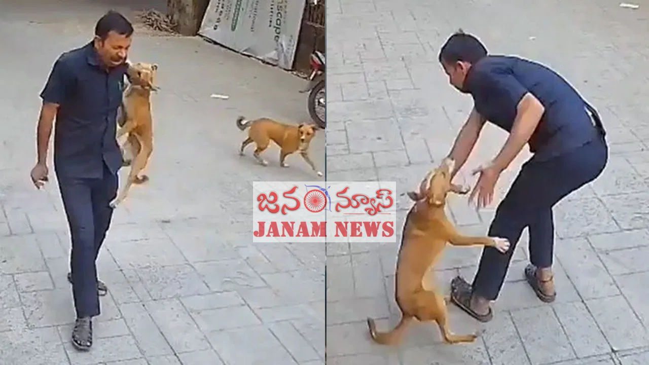 స్కూల్‌లో చోటుచేసుకున్న ఘటనపై అధికారుల విచారణ